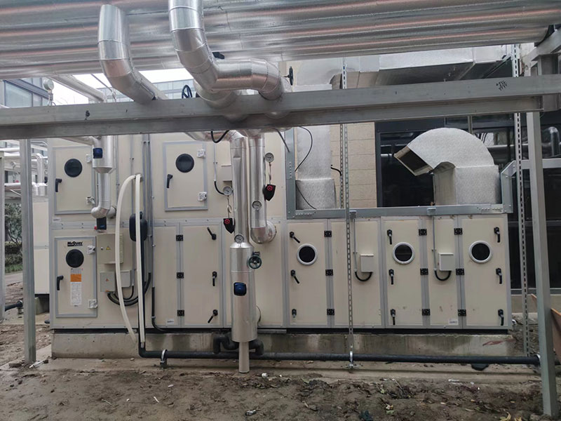 球速体育最新网页登录