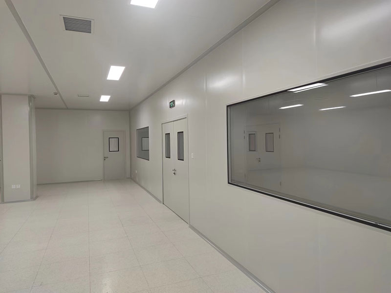 球速体育最新网页登录